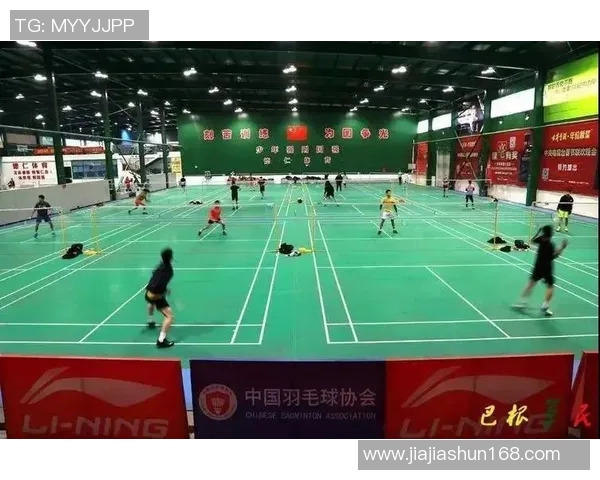 赛后分析：北京羽毛球队与广州羽毛球队灵活性对比及战术探讨